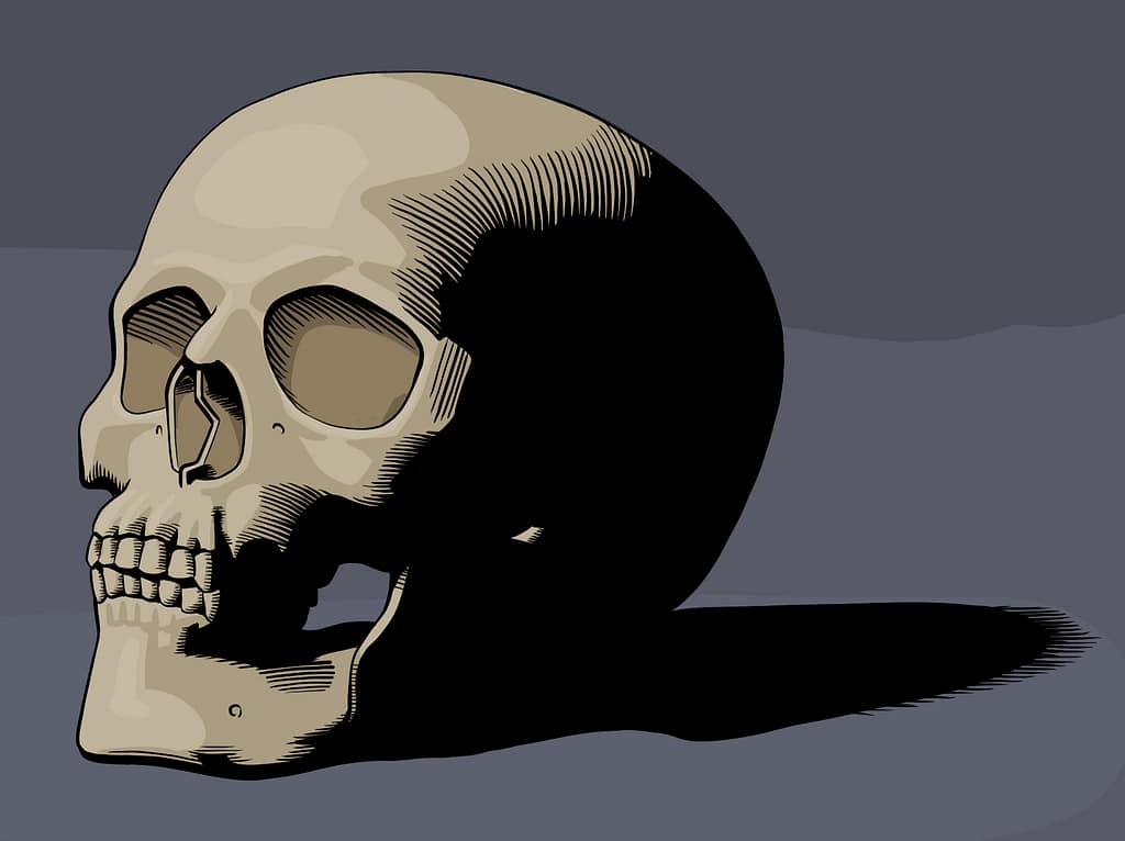 Painting of a skull with black outlines and large shapes of value and color