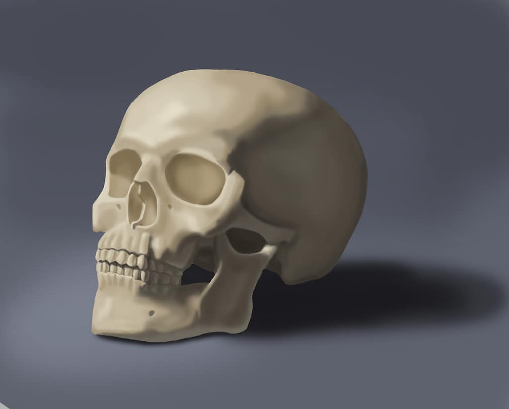 Painting of a skull in a style similar to the rendering process, but in color