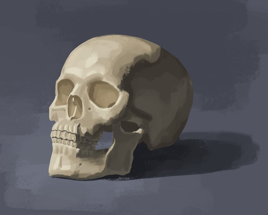 Painting of a skull with textured blending between shapes of color.