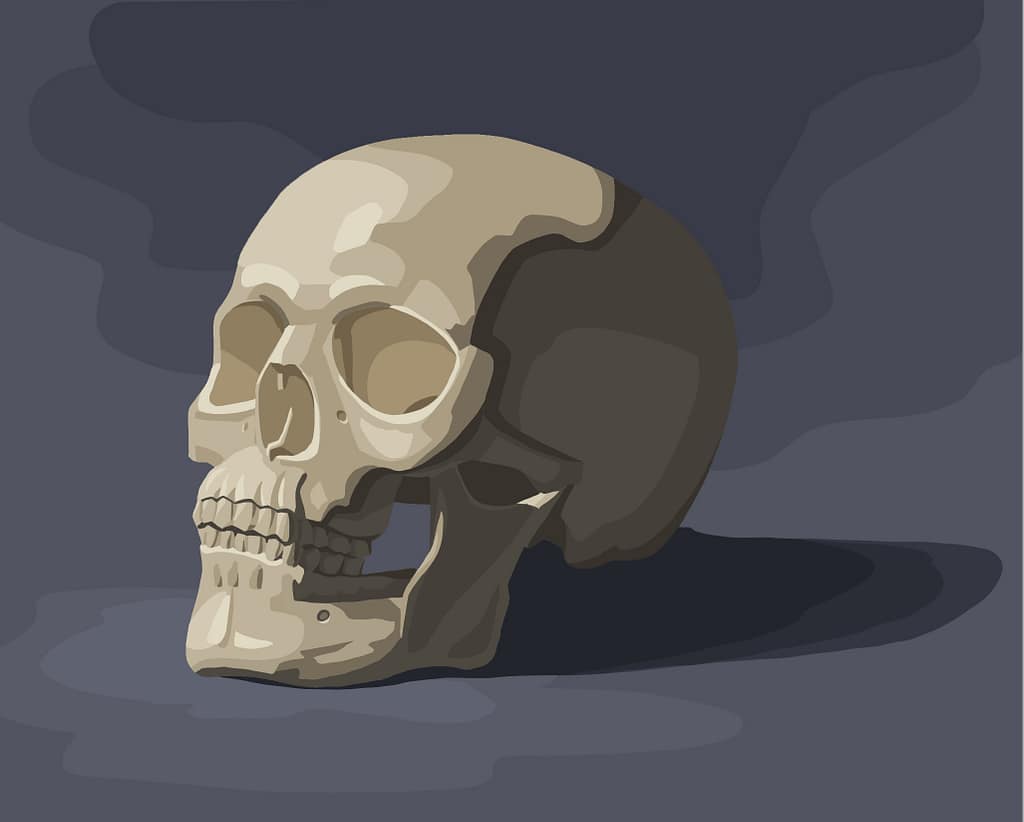 Painting of a skull with no blending between shapes of color